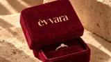 Evvara — brand artwork 1
